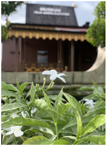 Museum Ini Dulunya Rumah Warga